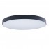 Потолочный светодиодный светильник Loft IT Axel 10002/48 black - Потолочный светодиодный светильник Loft IT Axel 10002/48 black