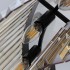 Подвесная люстра Citilux Мартин CL332082 - cl332082_3