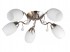 Люстра потолочная Paula TL3550X-05SN Toplight - Люстра потолочная Paula TL3550X-05SN Toplight