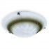 Светильник настенно-потолочный Clare TL9101Y-02BR Toplight - Потолочный светильник Toplight Clare TL9101Y-02BR