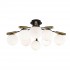 Потолочная люстра Freya Paolina FR5011CL-08B - Потолочная люстра Freya Paolina FR5011CL-08B