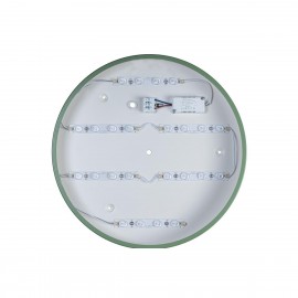 Потолочный светодиодный светильник Loft IT Axel 10003/24 green - Потолочный светодиодный светильник Loft IT Axel 10003/24 green