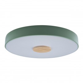 Потолочный светодиодный светильник Loft IT Axel 10003/24 green - Потолочный светодиодный светильник Loft IT Axel 10003/24 green