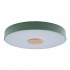 Потолочный светодиодный светильник Loft IT Axel 10003/24 green - Потолочный светодиодный светильник Loft IT Axel 10003/24 green