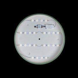 Потолочный светодиодный светильник Loft IT Axel 10003/24 green - 10003_24_green_2