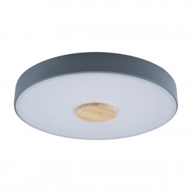 Потолочный светодиодный светильник Loft IT Axel 10003/24 grey - Потолочный светодиодный светильник Loft IT Axel 10003/24 grey