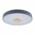 Потолочный светодиодный светильник Loft IT Axel 10003/24 grey - Потолочный светодиодный светильник Loft IT Axel 10003/24 grey