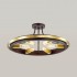Потолочная люстра Lumion Maeve 4401/6C - 4401_6c_1
