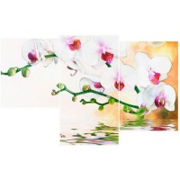 Мини-модульная картина TL-MM1055 Toplight