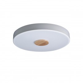 Потолочный светодиодный светильник Loft IT Axel 10003/24 white - Потолочный светодиодный светильник Loft IT Axel 10003/24 white
