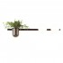 Настенный светильник Odeon Light Flower 4681/2W - Настенный светильник Odeon Light Flower 4681/2W