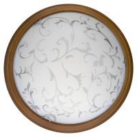 Светильник настенно-потолочный Daniela TL9530Y-00OA Toplight