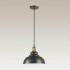 Подвесной светильник Lumion Dario 3675/1 - Подвесной светильник Lumion Dario 3675/1