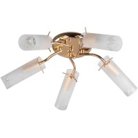 Светильник потолочный Brittany TL7130X-05FG Toplight