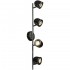 Спот Lussole Tivoli GRLSN-3129-04 - Спот Lussole Tivoli GRLSN-3129-04