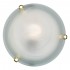 Настенно-потолочный светильник Sonex Duna 153/K золото - Настенно-потолочный светильник Sonex Duna 153/K золото