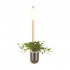 Настенный светильник Odeon Light Flower 4682/1WB - Настенный светильник Odeon Light Flower 4682/1WB