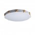 Потолочный светодиодный светильник Loft IT Axel 10006/36 white - Потолочный светодиодный светильник Loft IT Axel 10006/36 white