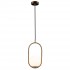 Подвесной светильник Loft IT Glob LOFT2595-A - Подвесной светильник Loft IT Glob LOFT2595-A