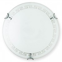 Светильник настенно-потолочный Maude TL9162Y-02WH Toplight