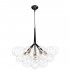 Подвесная люстра Loft IT Bunch 10048/6 Black - Подвесная люстра Loft IT Bunch 10048/6 Black