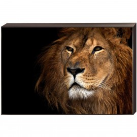 Постер TL-D4042 Toplight - Постер на подрамнике Toplight 60x90х4см TL-D4042