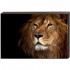 Постер TL-D4042 Toplight - Постер на подрамнике Toplight 60x90х4см TL-D4042
