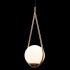 Подвесной светильник Loft IT Glob LOFT2599-A - loft2599_a_2
