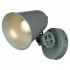 Спот Lussole Loft LSP-9571 - Спот Lussole Loft LSP-9571