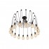 Подвесная люстра Loft IT Spider Loft1162/16 - loft1162_16_3