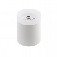 Потолочный светодиодный светильник Denkirs DK4010-WH