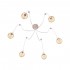 Подвесная люстра Loft IT Spider Loft1162W/6 - loft1162__6_2