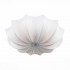 Накладной светильник ST Luce Fiore SL358.502.05 - Накладной светильник ST Luce Fiore SL358.502.05