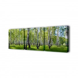 Модульная картина TL-M2003 Toplight - Модульная картина Березы Toplight 150х50см TL-M2003