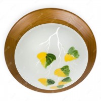 Светильник настенно-потолочный Enilu TL9461Y-01OA Toplight