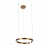 Подвесной светодиодный светильник Loft IT Ring 10013M - Подвесной светодиодный светильник Loft IT Ring 10013M