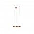 Подвесной светодиодный светильник Loft IT Ring 10013S - Подвесной светодиодный светильник Loft IT Ring 10013S
