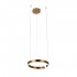 Подвесной светодиодный светильник Loft IT Ring 10013S - Подвесной светодиодный светильник Loft IT Ring 10013S