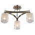 Потолочная люстра Freya Tasmania FR5475CL-03CH - Потолочная люстра Freya Tasmania FR5475CL-03CH