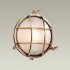 Настенный светильник Odeon Light Lofi 4130/1W - 4130_1__1