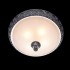 Потолочный светильник Chiaro Версаче 254015304 - 254015304_1