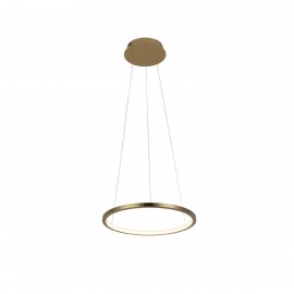 Подвесной светодиодный светильник Loft IT Ring 10014S - Подвесной светодиодный светильник Loft IT Ring 10014S
