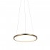 Подвесной светодиодный светильник Loft IT Ring 10014S - 10014s_1
