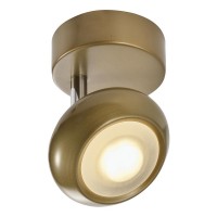Спот Carissa TL1244Y-01SG Toplight