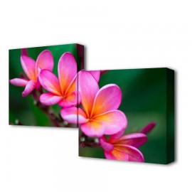 Модульная картина TL-M2010 Toplight - Модульная картина Нежность цветения Toplight 50x100см TL-M2010