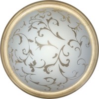 Светильник настенно-потолочный Phebe TL1126-1Y Toplight