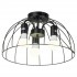Потолочная люстра Lussole Lgo Lattice GRLSP-8215 - Потолочная люстра Lussole Lgo Lattice GRLSP-8215