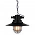 Подвесной светильник Lussole Loft GRLSP-9896 - Подвесной светильник Lussole Loft GRLSP-9896