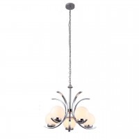 Подвесная люстра Arte Lamp Claudia A8055LM-5CC