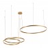 Подвесной светодиодный светильник Loft IT Ring 10017/3L - Подвесной светодиодный светильник Loft IT Ring 10017/3L